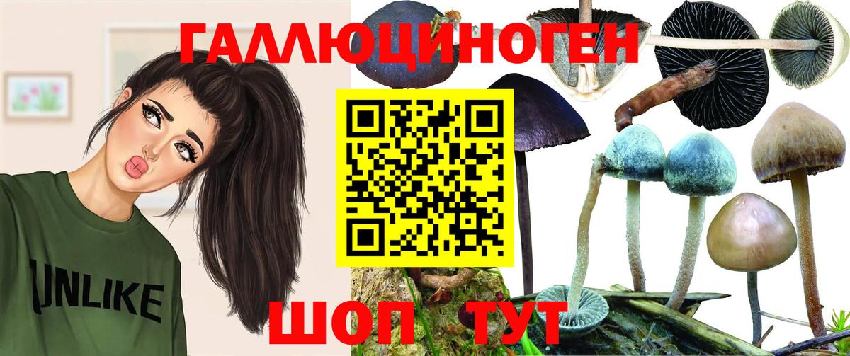 Псилоцибиновые грибы прущие грибы Людиново